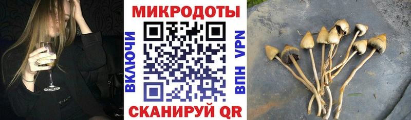 MEGA рабочий сайт  Асино  Псилоцибиновые грибы GOLDEN TEACHER 